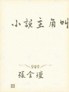 小说主角叫王毅