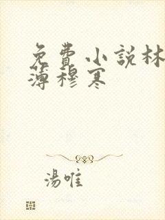 免费小说林恩恩薄穆寒
