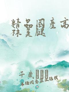 精品国产高跟丝袜美腿