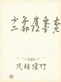 少年房东太太第二部72章免费阅读