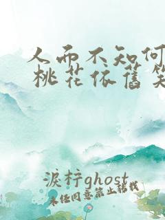 人面不知何处去 桃花依旧笑春风是什么意思