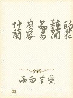 什么品种的君子兰容易开花 什么品种的君子兰容易开花