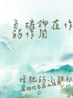 氮磷钾在作物上的作用