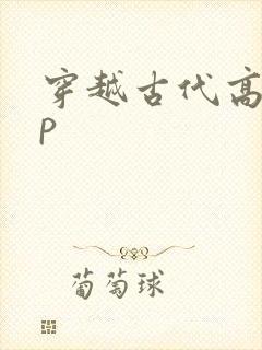 穿越古代高hnp