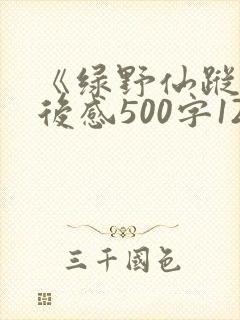 《绿野仙踪》读后感500字12篇