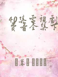 40集电视剧免费看全集下一站婚姻
