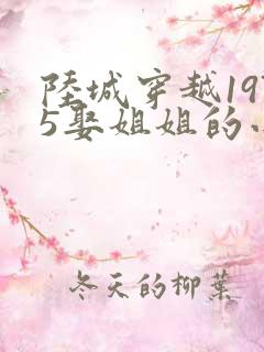 陆城穿越1975娶姐姐的小说免费阅读