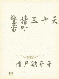 惊情三十天婚后番外