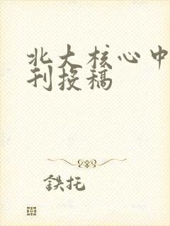 北大核心中文期刊投稿