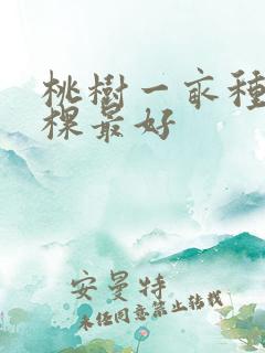 桃树一亩种多少棵最好