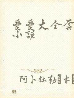 爱爱大全套激情小说