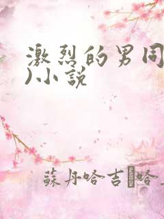 激烈的男同(h)小说