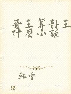 晋王算卦王妃叫什么小说