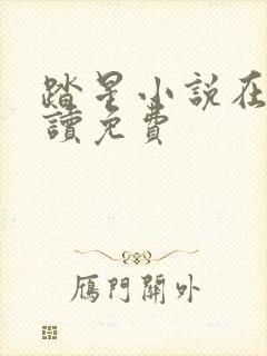 踏星小说在线阅读免费