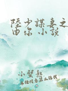 陆少谋妻之婚不由你 小说