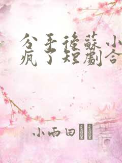 分手后苏小姐杀疯了短剧合集