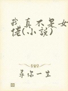 我真不是女装大佬(小说) 我真不是女装大佬(小说)