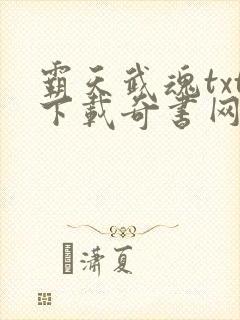 霸天武魂txt下载奇书网