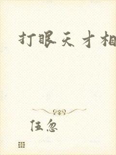 打眼天才相师2