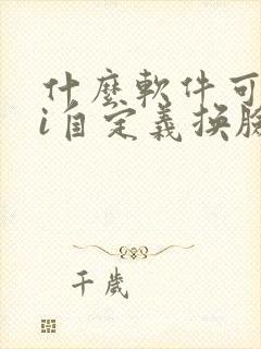 什么软件可以ai自定义换脸