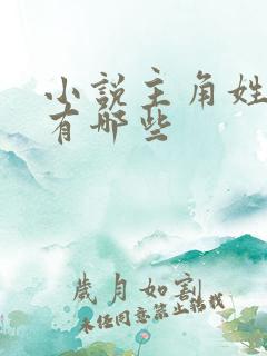 小说主角姓杨的有哪些