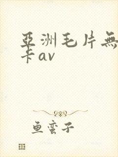 亚洲毛片无毛不卡av