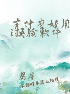 有什么好用的ai换脸软件