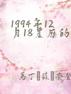 1994年12月18农历的生辰八字