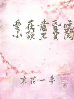 爱在黄昏晚风时小说免费阅读