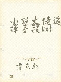 小说大佬追妻不择手段txt