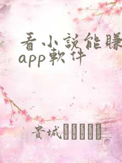 看小说能赚钱的app软件