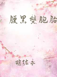 腹黑双胞胎