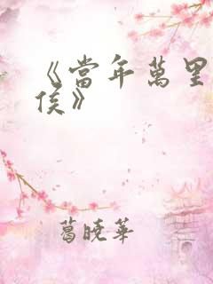 《当年万里觅封侯》