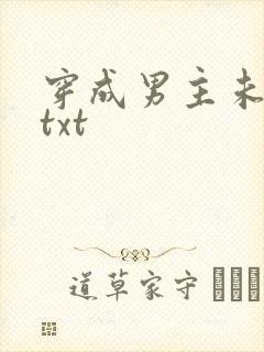 穿成男主未婚妻txt