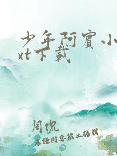 少年阿宾小说txt下载
