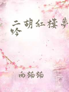 二胡红楼梦葬花吟