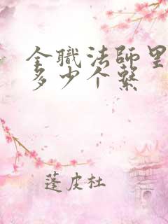 全职法师里面有多少个系