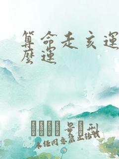 算命走亥运是什么运