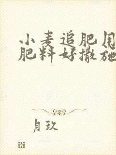 小麦追肥用什么肥料好撒施