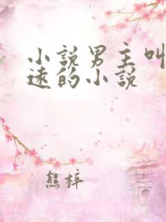 小说男主叫林致远的小说