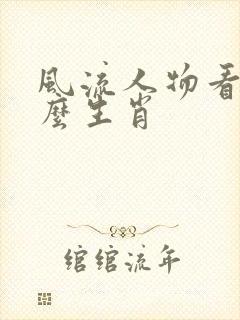 风流人物看是什么生肖