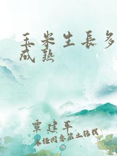 玉米生长多少天成熟