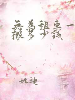 无为租车一天大概多少钱