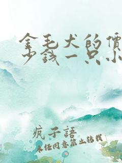 金毛犬的价格多少钱一只小狗 金毛犬的价格多少钱一只小狗