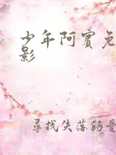 少年阿宾免费电影