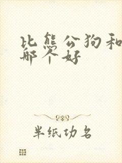 比熊公狗和母狗哪个好