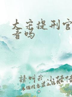 大宋提刑官值得看吗