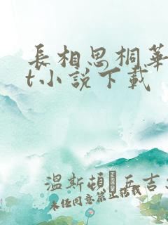 长相思桐华txt小说下载