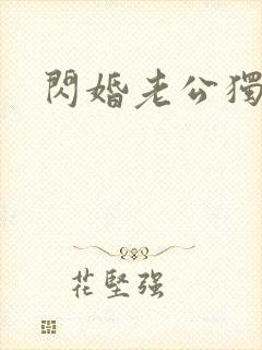 闪婚老公独宠我