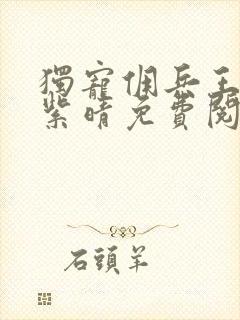 独宠佣兵王妃韩紫晴免费阅读无弹窗